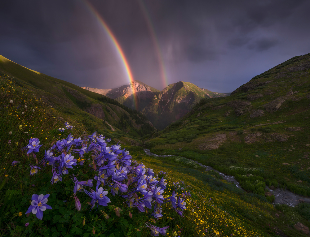 Making Haste von Ryan Dyar