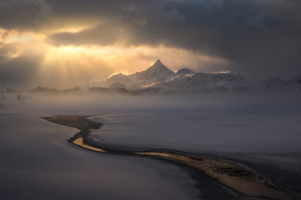 Finding a Way von Ryan Dyar