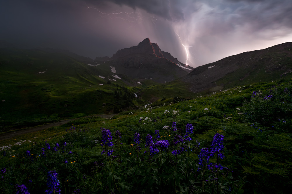 None Will Pass von Ryan Dyar