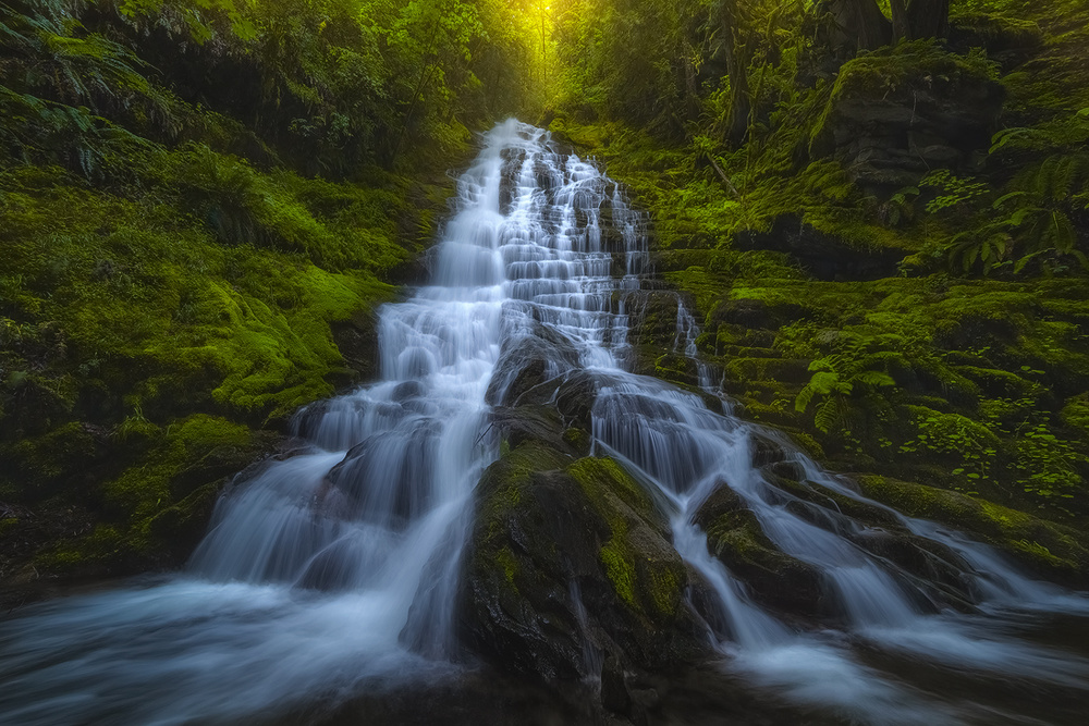 Staircase Falls von Ryan Dyar