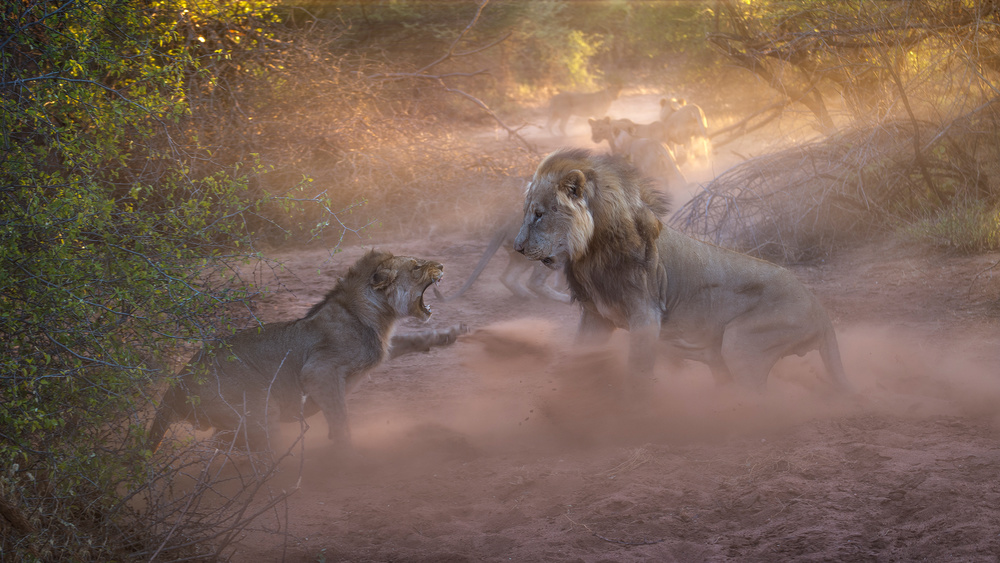 Among the Ranks von Ryan Dyar