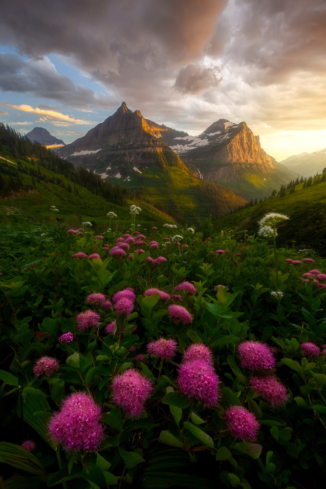 As It Fades von Ryan Dyar