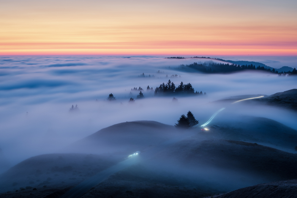 Fog on Mt Tamalpais von Ryan Li