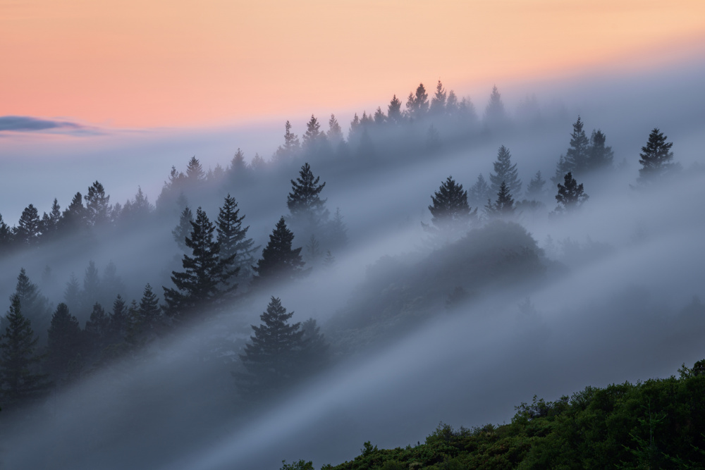 Mist Evening von Ryan Li