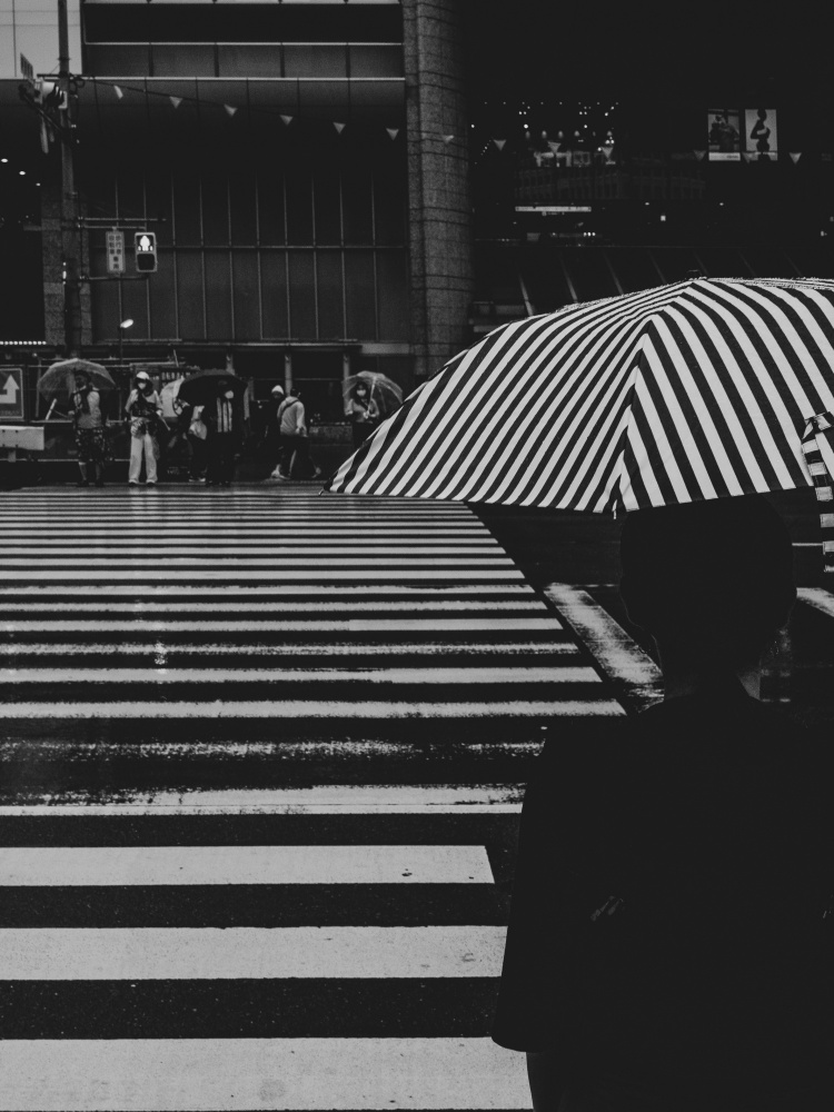 rain von Ryoga Otake