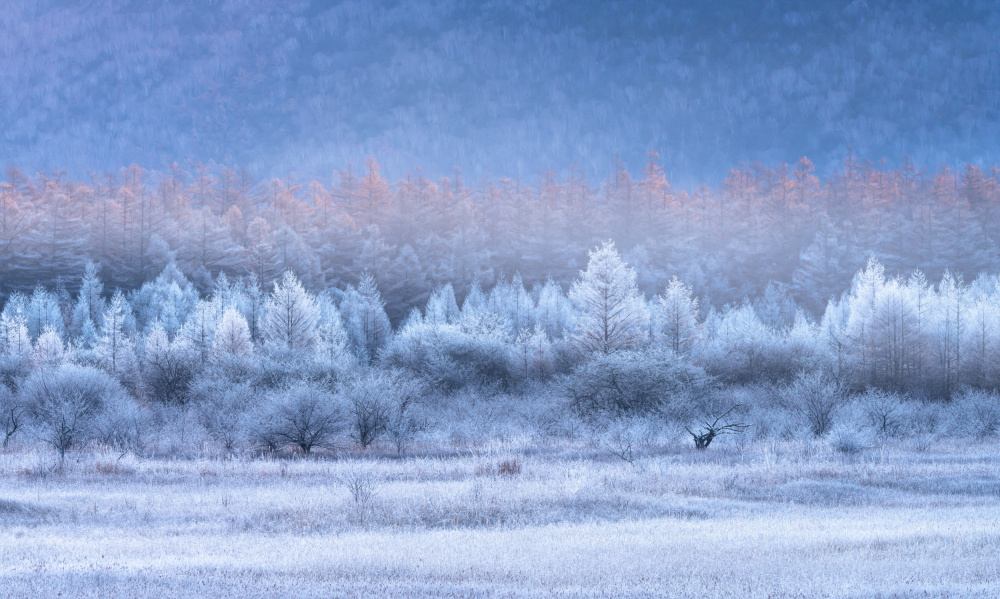 Autumn and Winter gradients von Ryohei Irie