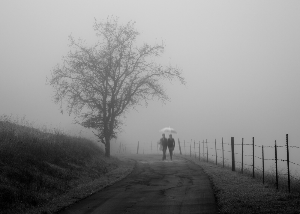 Foggy Road von Ryu Shin Woo