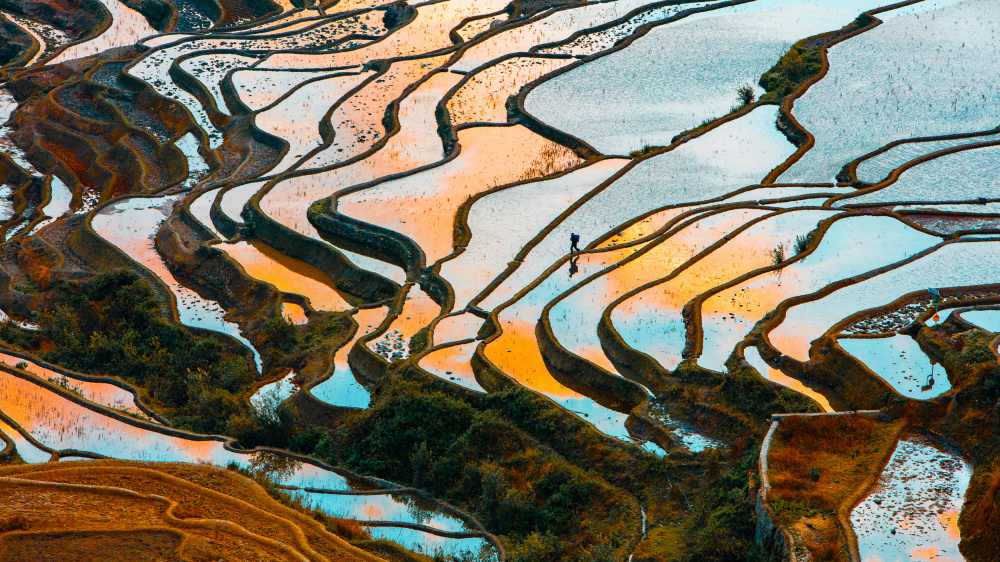 Terraced Field-6 von Ryu Shin Woo