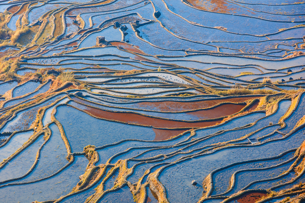 Yuanyang Hani Terraced Field-1 von Ryu Shin Woo