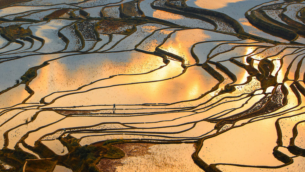 Yuanyang Hani Terraced Field-2 von Ryu Shin Woo