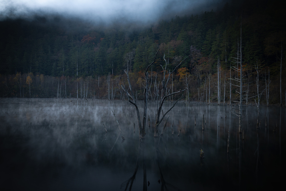 From autumn to winter von RYUHO TAKAHASHI