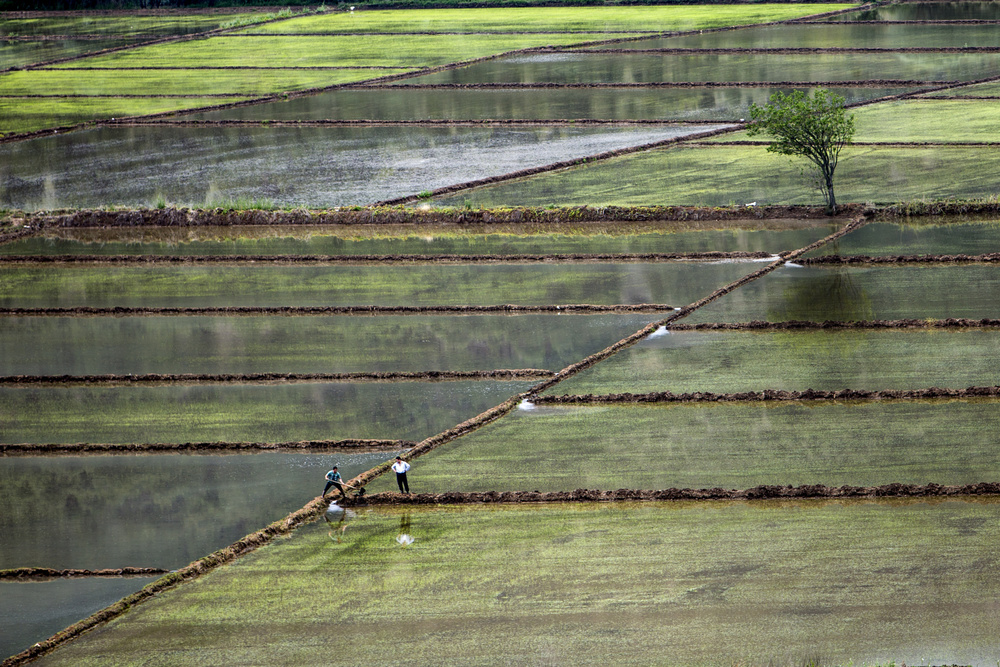 fields and two mens von S. Aktrk