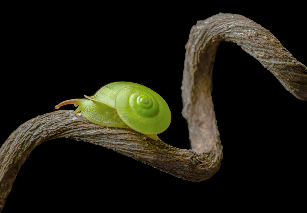 Winding Road von Sabriamin M