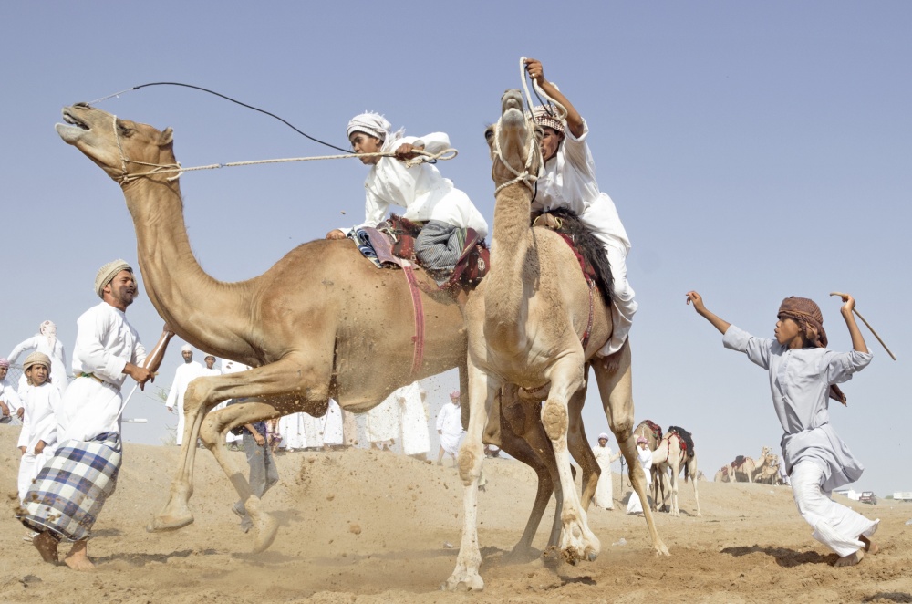 camel race von Salim Albusaidi