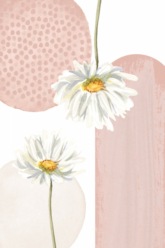 Daisy Pinks 3 von Sally Ann Moss