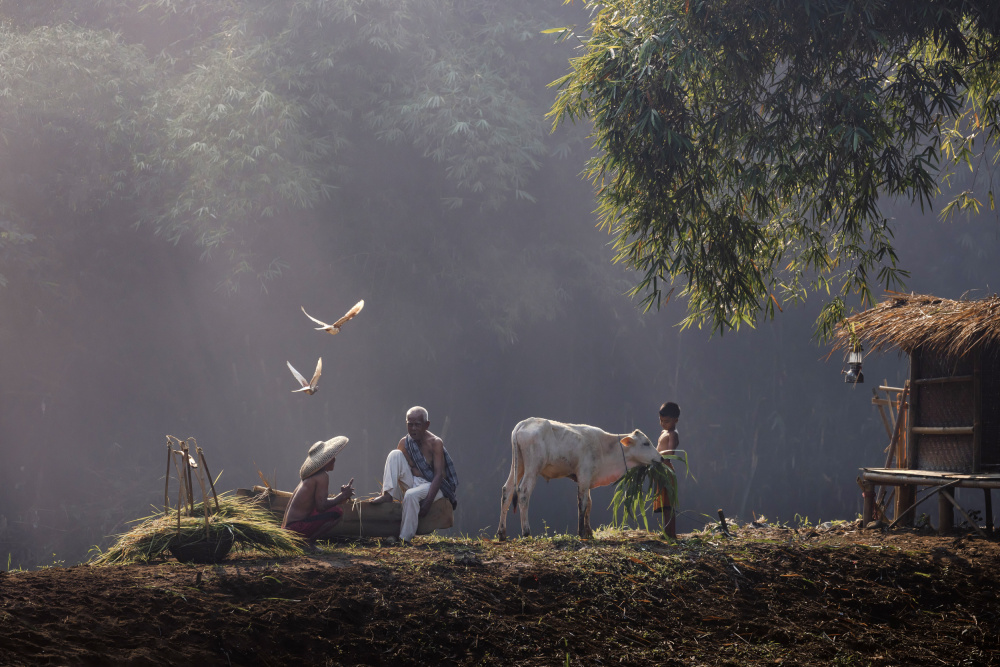 Breakfast for The Cow von Sally Widjaja