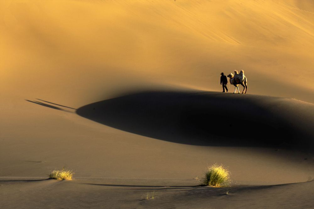 Yellow sand von Sally Widjaja