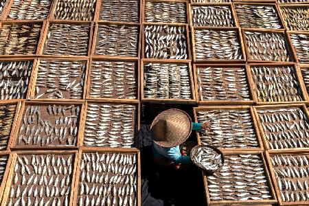 Making salted fish