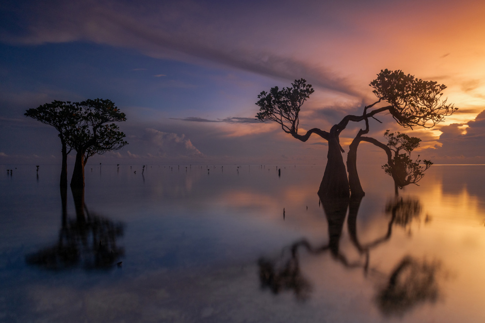 Walakiri beach von Sally Widjaja