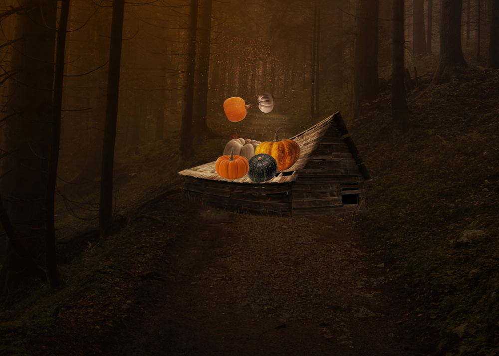 Pumpkin Falls von Salome Zhividze