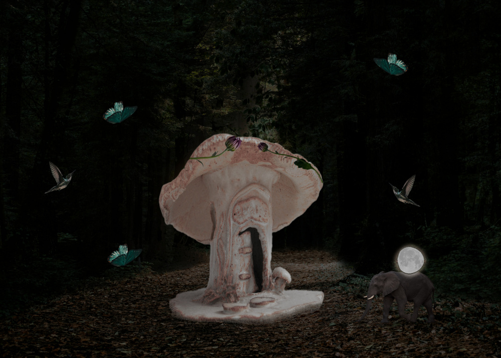 Mushroom von Salome Zhividze