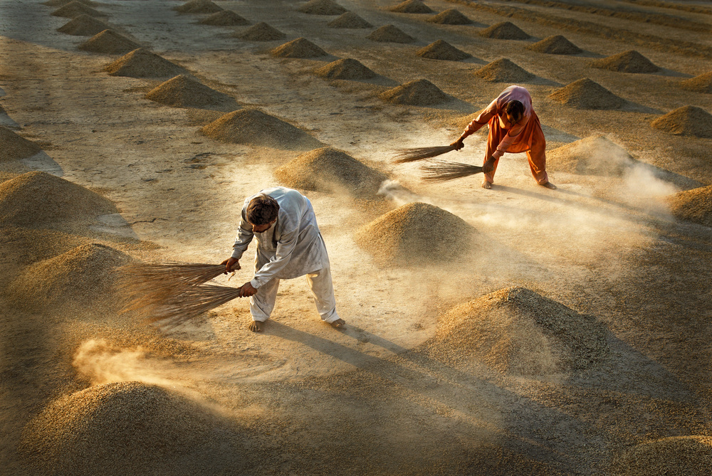 Drying Rice von Sami ur Rahman