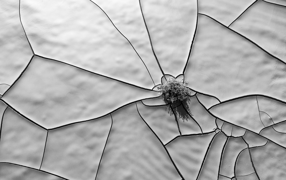 Clay Cracks von SAMIR ISSA SAID