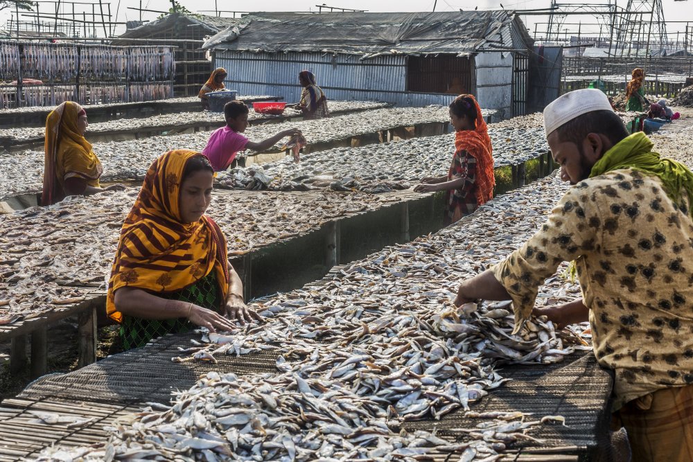 Dry Fish Sorting von SANCHAYAN CHOWDHURY