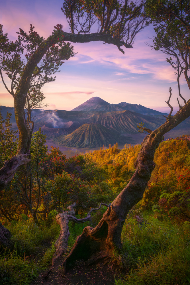 Bromo Sunrises von SANDEEP MATHUR