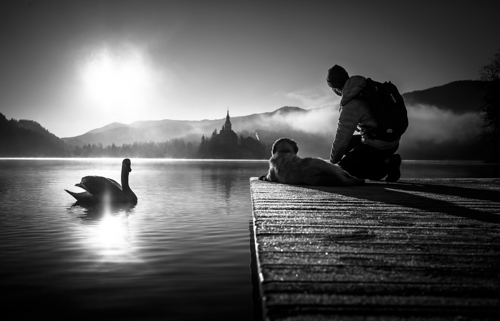 Coexistence with nature von Sandi Bertoncelj