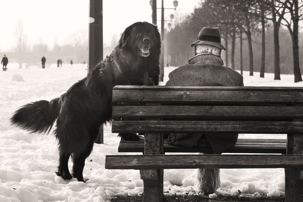 One man and his dog von Sandra Štimac