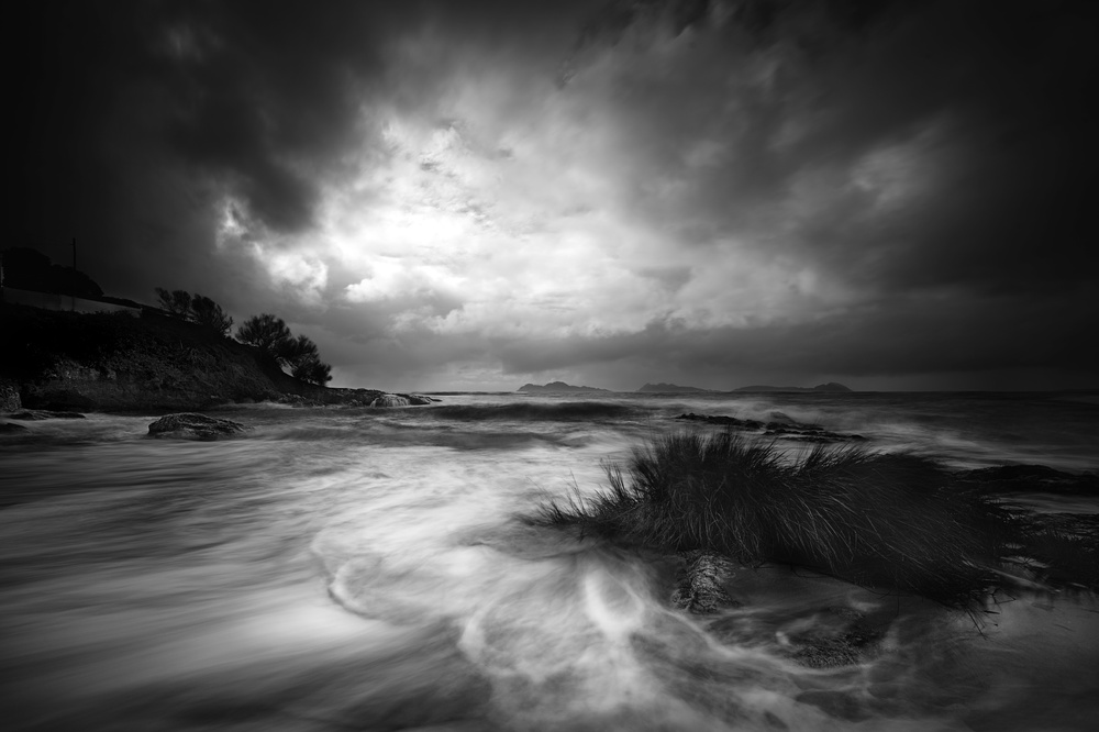 Rushes in the sea von Santiago Pascual Buye