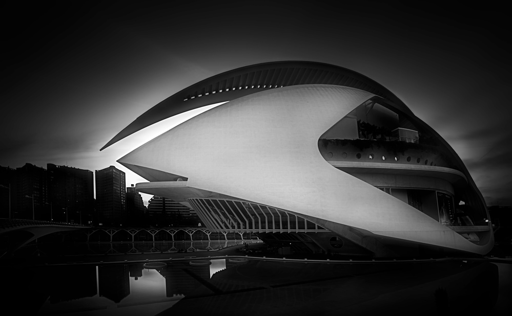 Palau de les Arts Reina Sofía (Opera House of Valencia) von Santiago Pascual Buye