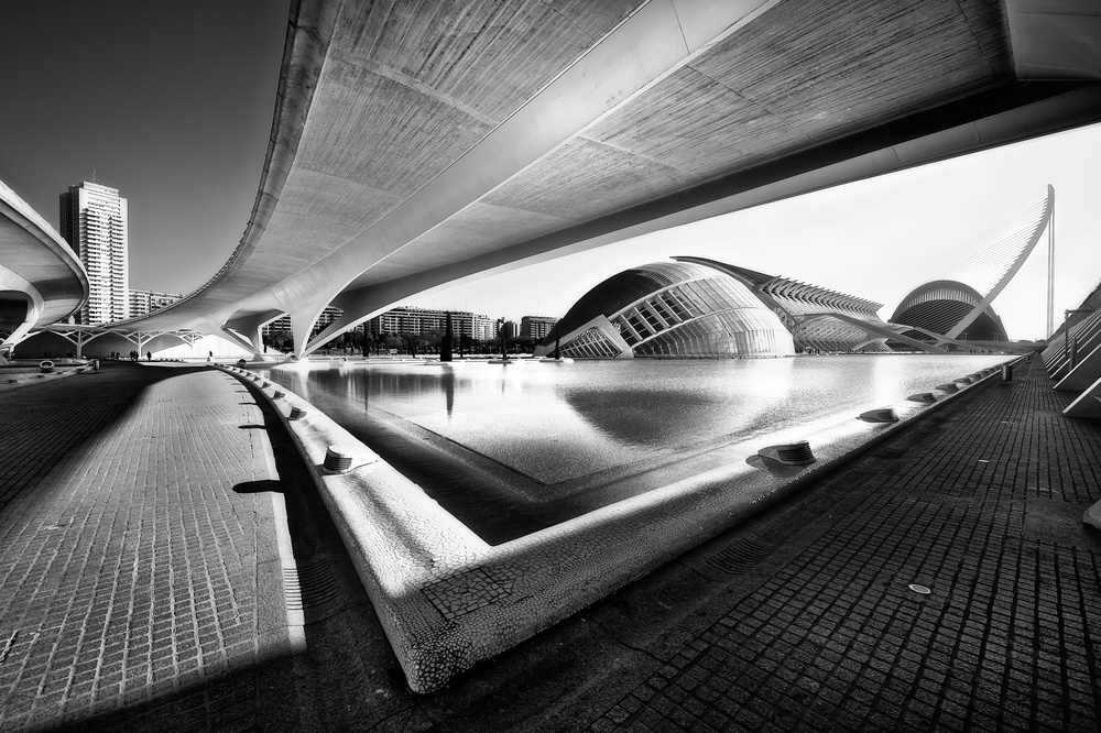 City of Arts and Science von Santiago Pascual Buye