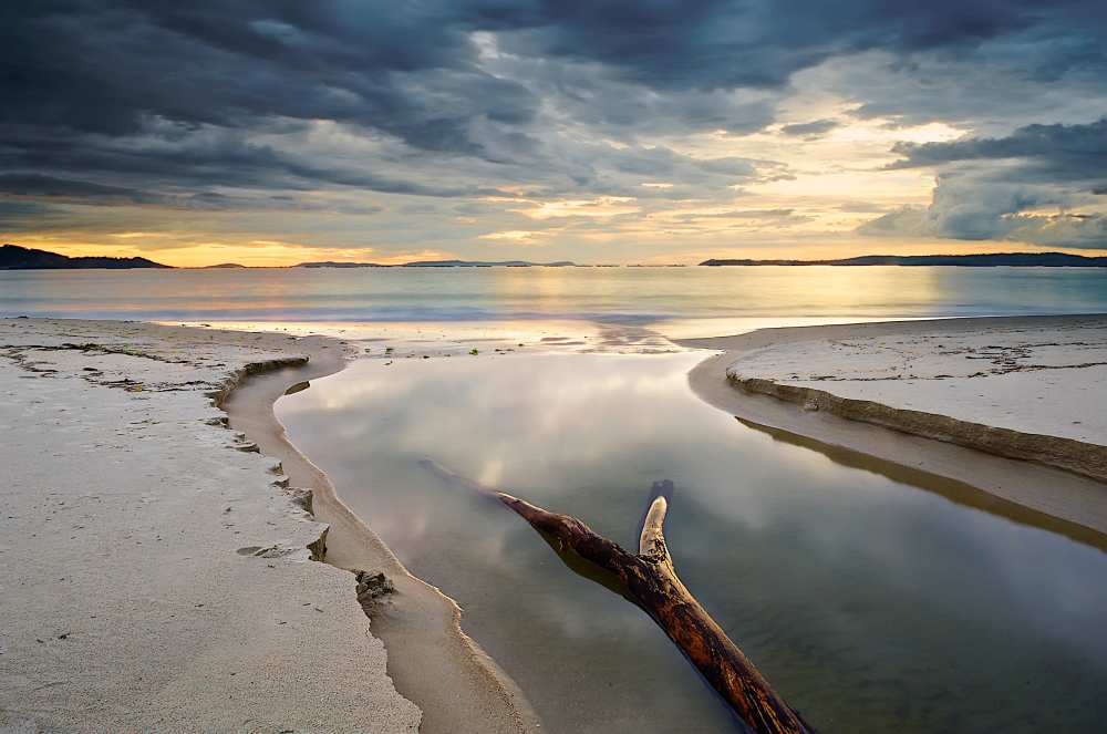 The river von Santiago Pascual Buye