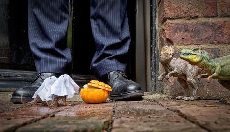 Trick or Treat - Roary &amp; Sid took Waif &amp; Stray out trick or treating as a distraction tactic