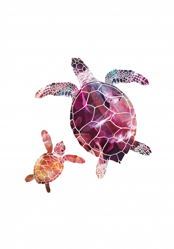 Abstract pink turtles von Sarah Manovski