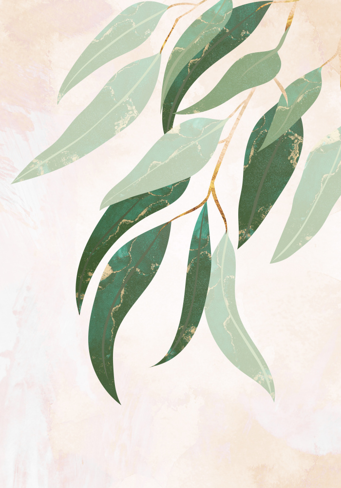 Australian Eucalyptus leaves von Sarah Manovski