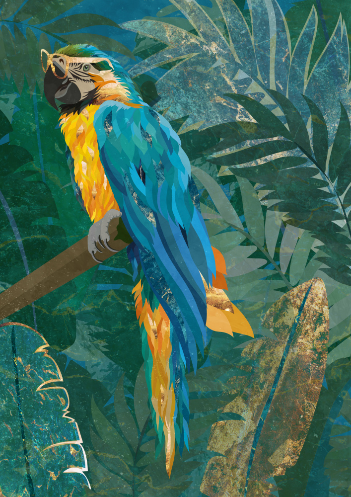 Blue parrot in the rainforest von Sarah Manovski