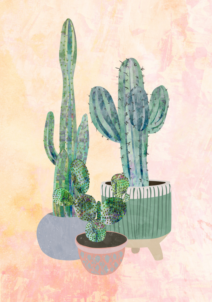 Boho Cactus Trio von Sarah Manovski