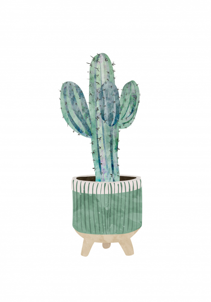 Boho scandi cactus 1 von Sarah Manovski