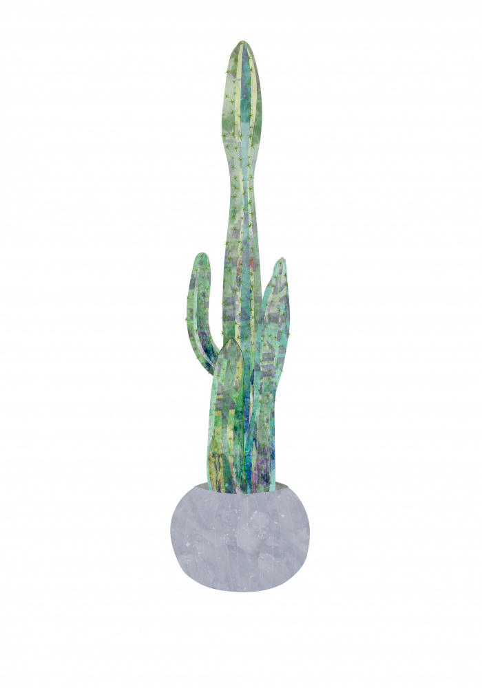 Boho scandi cactus 2 von Sarah Manovski