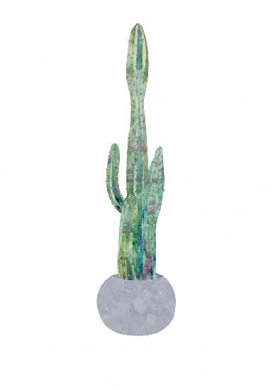 Boho scandi cactus 2