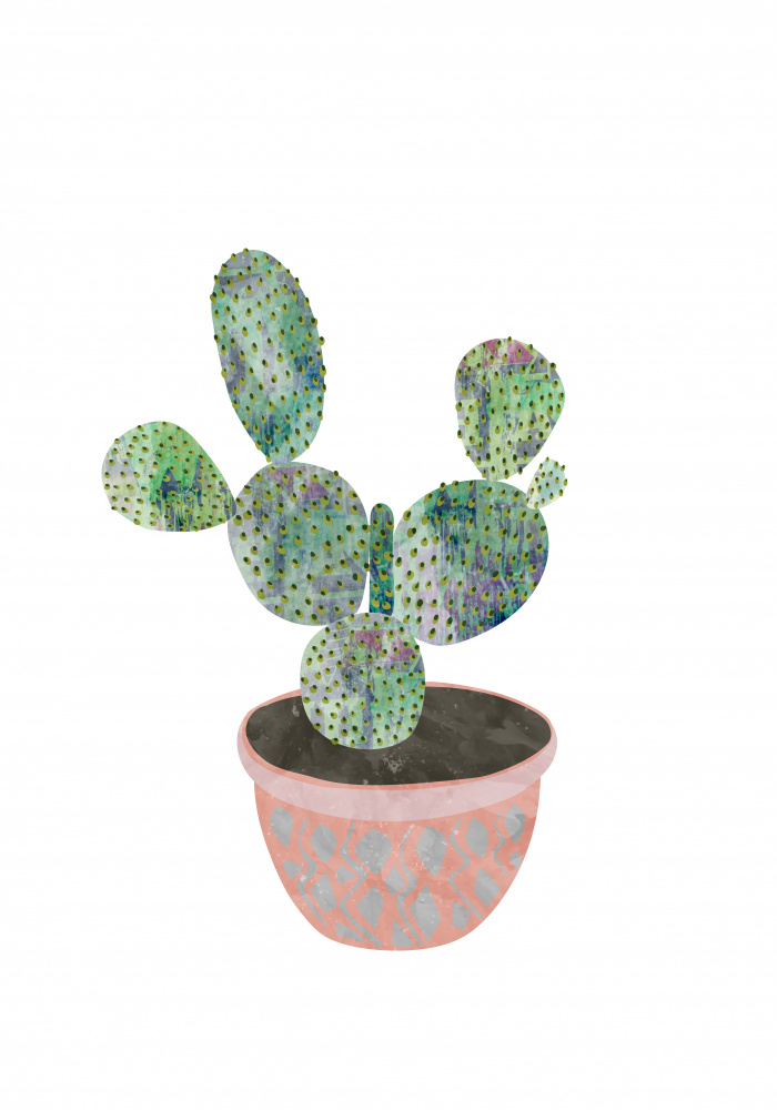 Boho scandi cactus 3 von Sarah Manovski