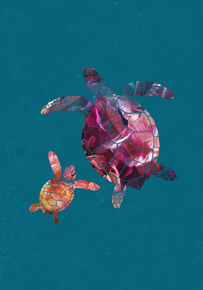 Colourful Turtles von Sarah Manovski