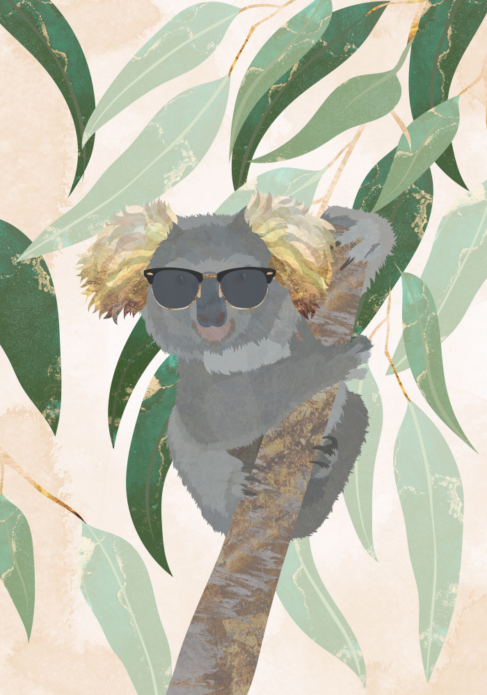 Cool Koala von Sarah Manovski