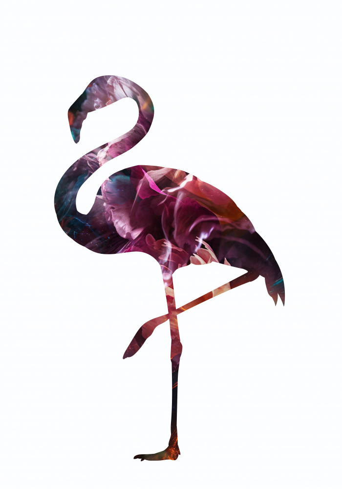 Flamingo Silhouette von Sarah Manovski