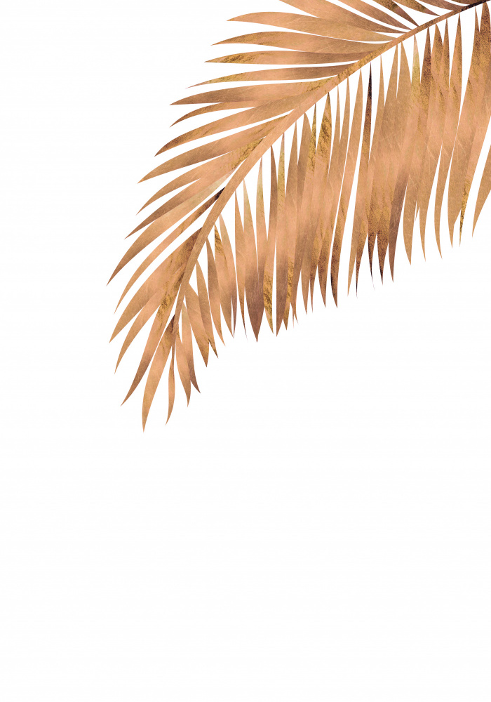 Gold Copper palm leaf 3 von Sarah Manovski