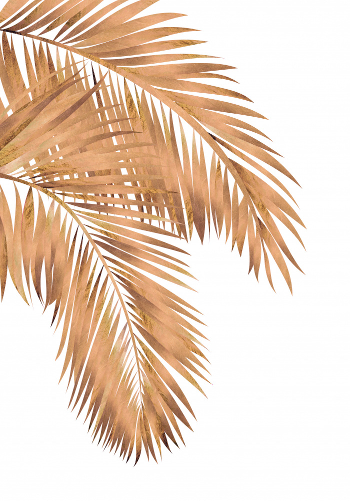 Golden palms white copper 1 von Sarah Manovski