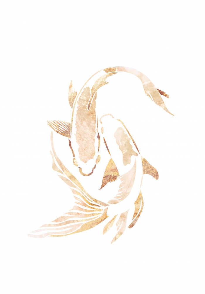 Gold White Japan Koi Fish von Sarah Manovski